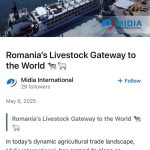 WhatsApp Image 2025-08-04 at 13.05.47 (8)