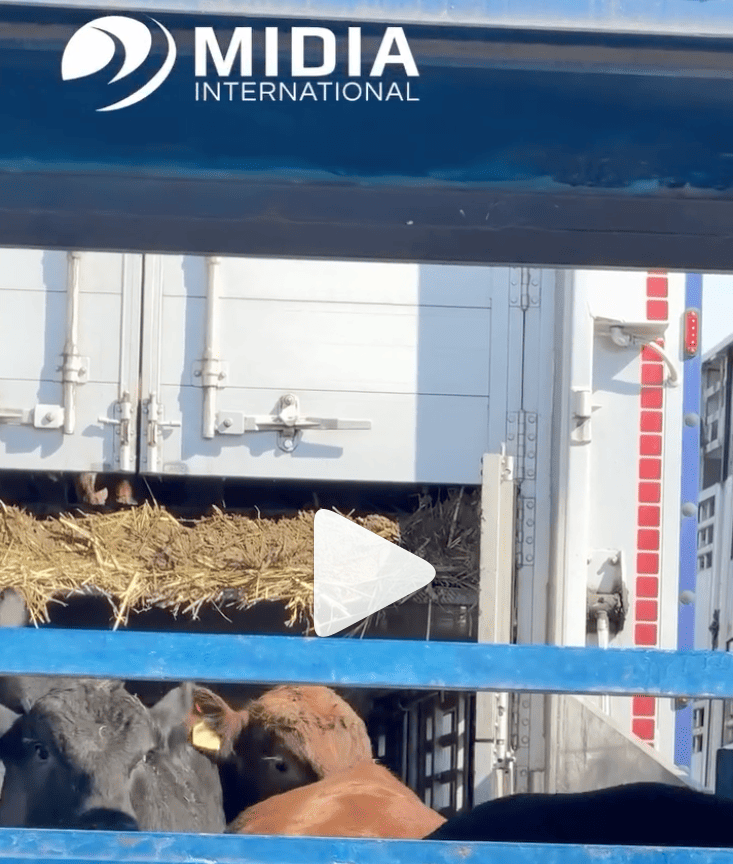 Screenshot 2025-11-07 at 14.48.47